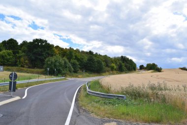 Ormana ve tarlalara giden yol.