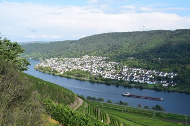 Mosel Vadisi 'nin manzarası, Koblenz bölgesi.
