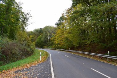 Sonbahar ormanında yol