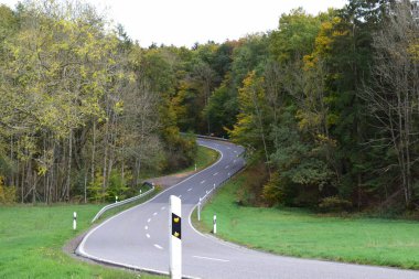 Sonbahar ormanında yol