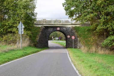 Ormanda köprüsü olan bir yol.