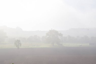 Kırsalda sabah sisi,