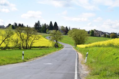 İlkbaharda kırsala giden yol.