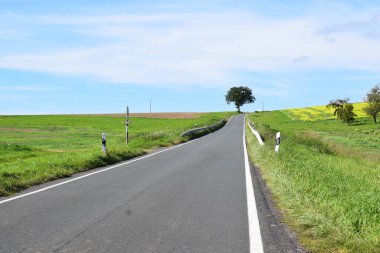 Kırsal yolda tek bir ağaç var.