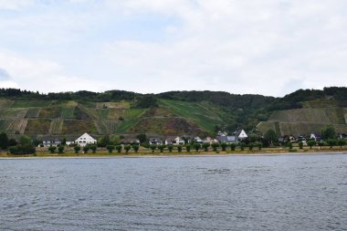 Ren nehri Leutesdorf 'la birlikte, alçak akış sırasında.