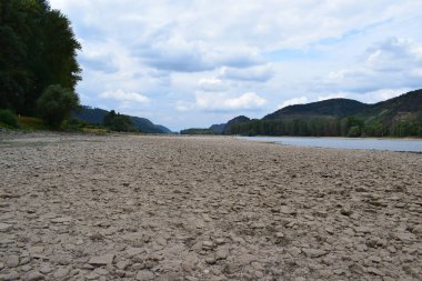 beautiful Rhine beach during the drought flow season clipart