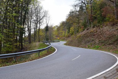 Ormandaki boş yol.