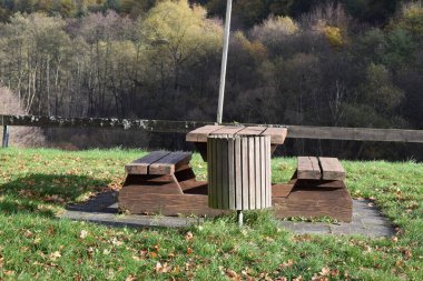 Sonbaharda ormanda ağaçlarla dolu bir bank.