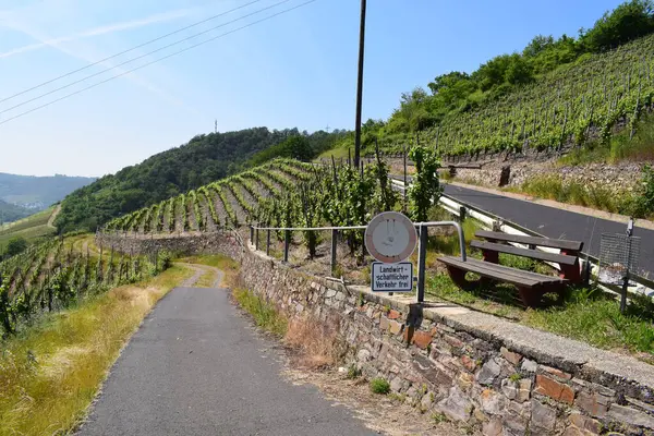 stock image vineyard roads in the countryside