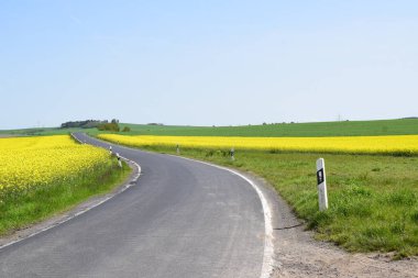 Hollanda 'nın kırsal kesiminde yol