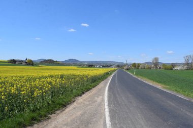 Tarlada yolu olan güzel bir manzara.