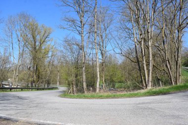 Almanya'da ormanda yol