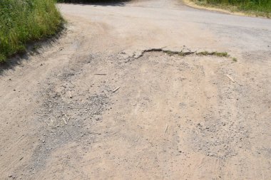 Ormanda çatlaklar olan asfalt yol.