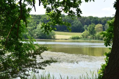 Yeşil çimlerin üzerinde bir göl, Rodder Maar