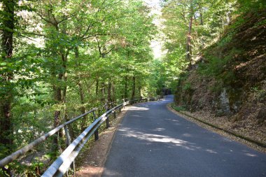 Dağlarda yol