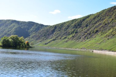 Sonbaharın başındaki Mosel Vadisi manzarası