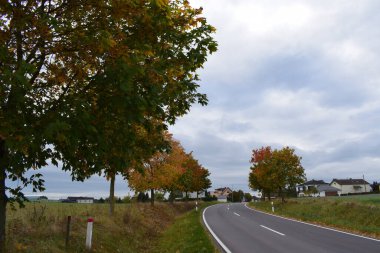 Eifel 'de kırsal sonbahar bulvarı