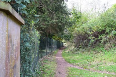 Sonbaharda parkta bir patika