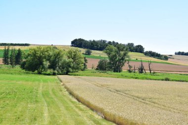Bir buğday tarlası ve küçük bir tarlası olan manzara