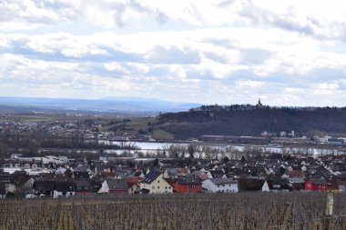 view on the Rhine valley at Ruedesheim clipart