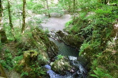 beautiful waterfall in the forest clipart