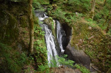 a waterfall in the forest. clipart