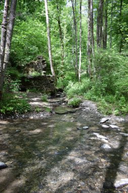 the river flows through a forest in the mountains with a ruin wall at the side clipart