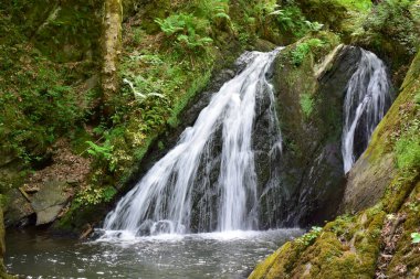 Eifel 'de güzel bir şelale, Martental.