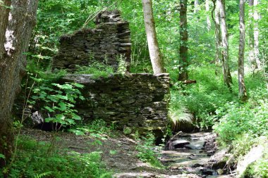 Ormandaki eski bir değirmenin yıkıntısı