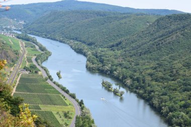Yazın Mosel Vadisi