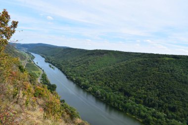 Cochem ve Koblenz arasındaki Mosel nehri vadisi.