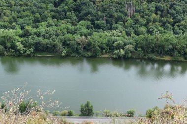 Mosel Vadisi manzarası