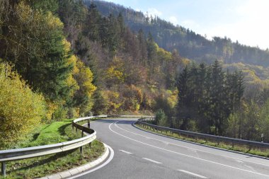 Ormanda sonbahar yolu