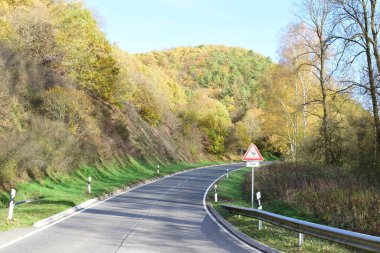 Sonbahar boyunca ormanda yol