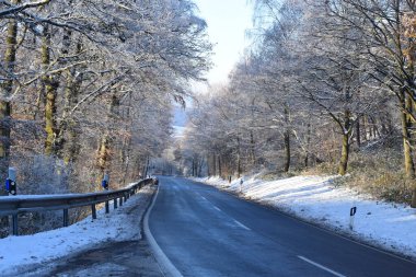 Yol kırağı ve ağaçlarla kaplı.