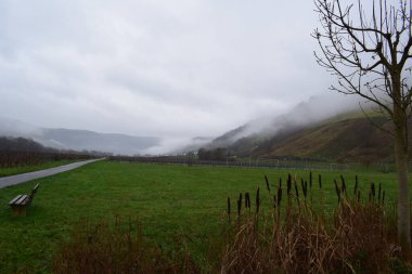 a foggy day on a hill of Mosel valley clipart