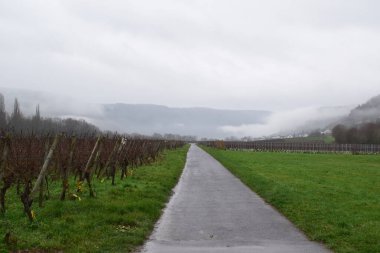 Mosel Vadisi 'nin düşen sisli güzel manzarası