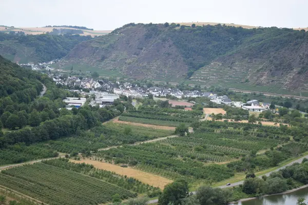 stock image view of the village Dieblich in Mosel valley