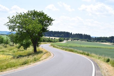 Yazın kırsal kesimde.