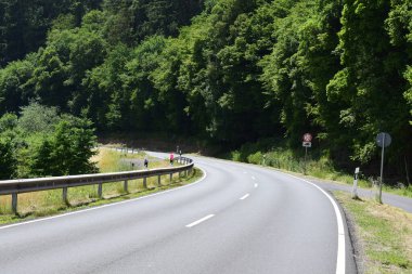 Yeşil orman ağaçları olan yol