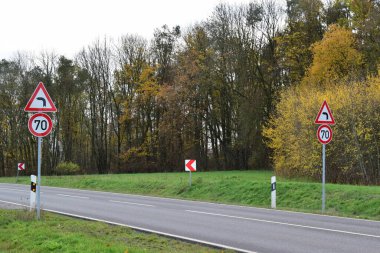 Yol eğrisi boyunca sonbahar ağaçları