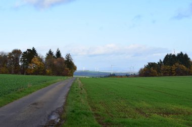 Sonbahar boyunca kırsalda yol