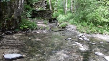 Dağlarda bir ormanda güzel bir nehir.