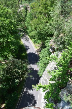 road in forest, beautiful photo digital picture clipart