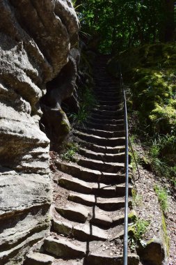 Parktaki eski bir merdivenin dikey görüntüsü.