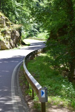 Ormanda yol