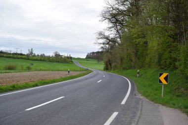 Ormandaki yol tabelası