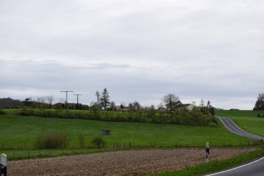 Köydeki yol ve ağaçlar