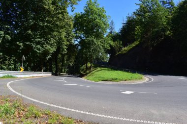 Kuzey Lüksemburg 'daki bir ormandan geçen yol.