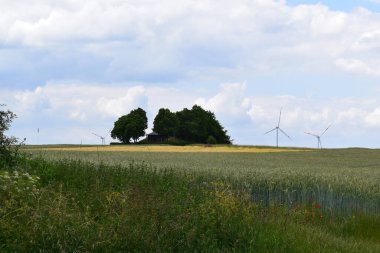 Tarladaki yel değirmeni